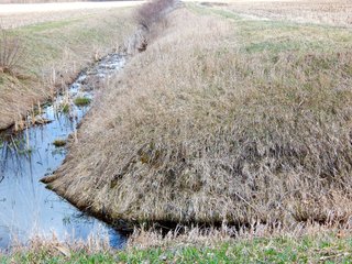 Property photo 15 - MAJOR LAND AUCTION - 313+/- ACRES OFFERED IN 7 TRACTS IN IROQUOIS COUNTY, ILLINOIS